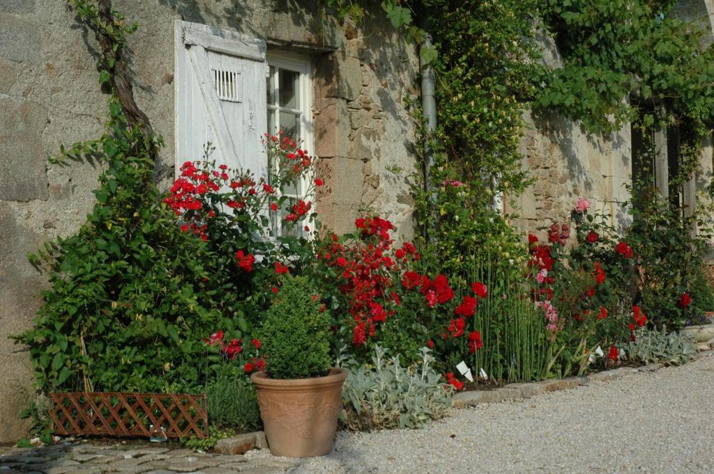 Chateau De L'Oiseliniere Bed & Breakfast Gorges  Eksteriør bilde