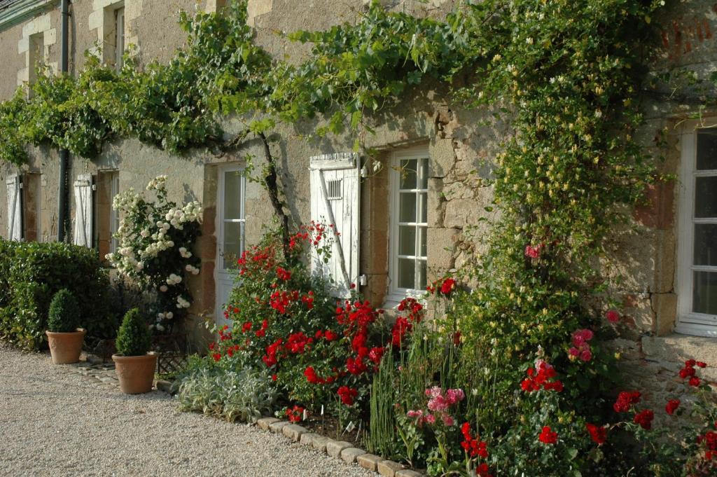 Chateau De L'Oiseliniere Bed & Breakfast Gorges  Eksteriør bilde